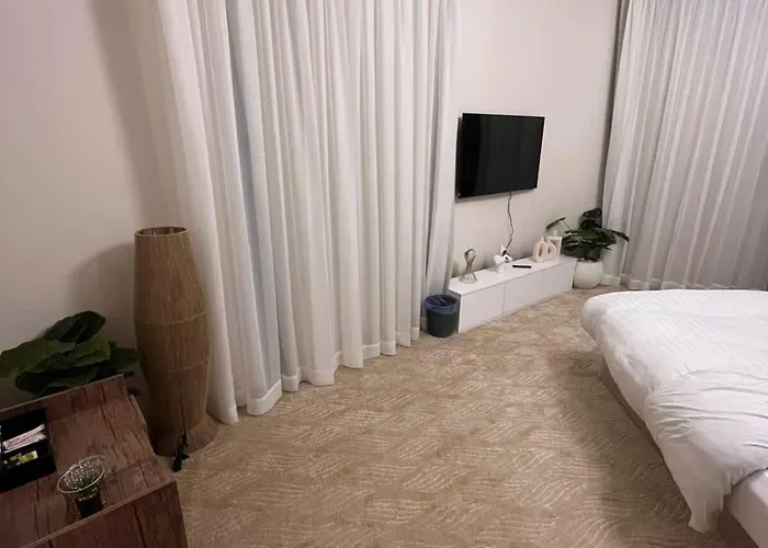 Zamalek Studio S9